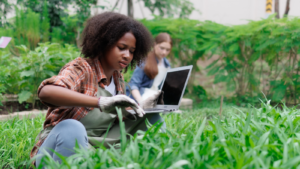Woman using laptop in a field